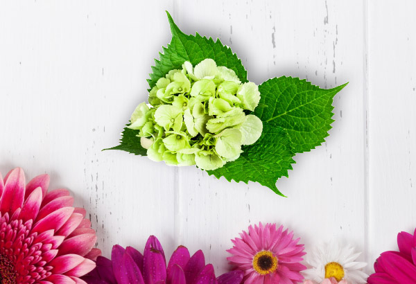 DIY Mother’s Day Floral Centerpiece