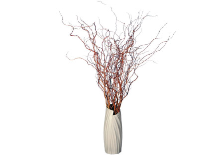 Floral Centerpiece Curly Willow