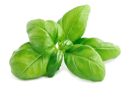 Spice Up Your Summer Basil