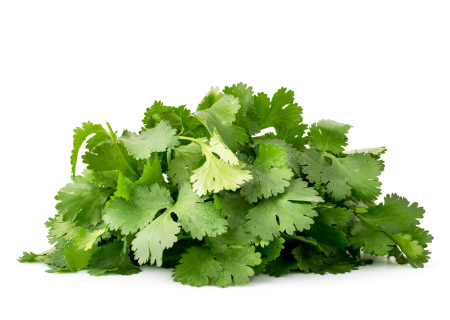 Spice Up Your Summer Cilantro