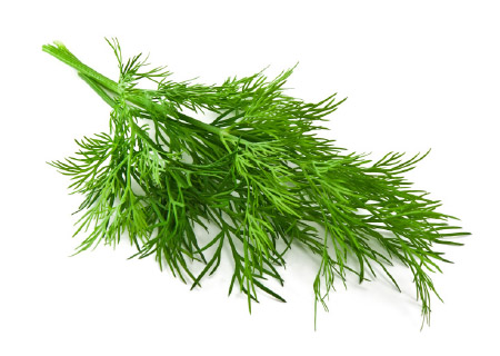 Spice Up Your Summer Dill