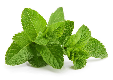 Spice Up Your Summer Mint