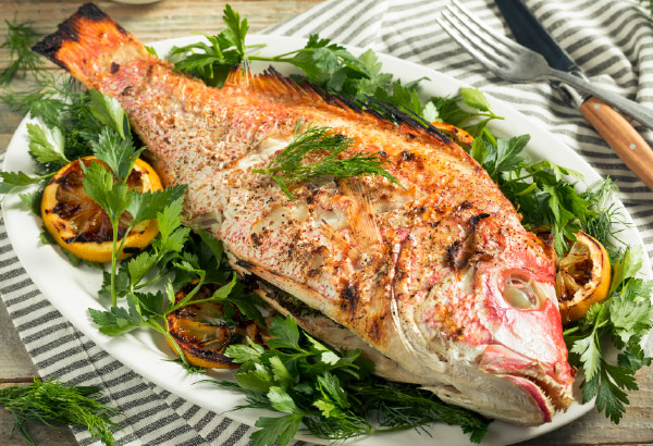 The World of Seafood - Red Snapper
