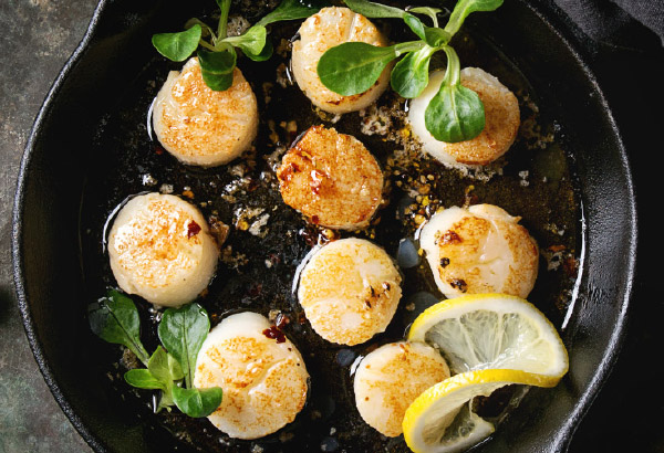 The World of Seafood - Scallops